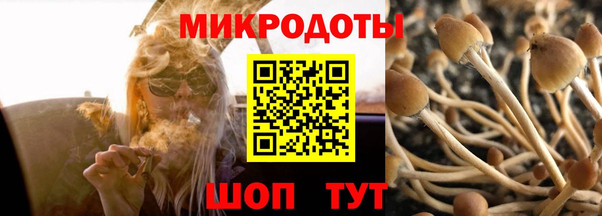 Элиста  Псилоцибиновые грибы GOLDEN TEACHER  Вход с VPN 