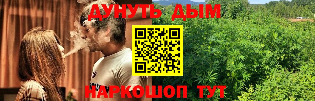 Конопля конопля  Каннабис VHQ  МАРИХУАНА гибрид  Вход с VPN  Элиста 